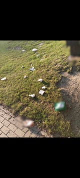 1725621897732783