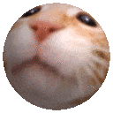 1723563834354139