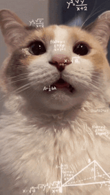 cat-cat-math