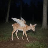 GV-Ljn_WsAALnB6