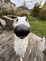 F6OwEi_W8AAew7i