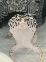 F1xVTAiacAAK6Dl