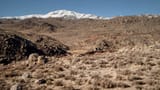 nevada2