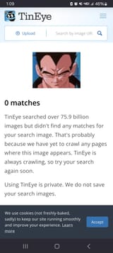 Screenshot_20250630_010918_Firefox