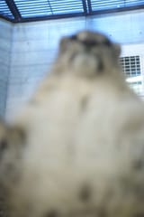 20250521_175728