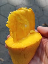 IMG_20250630_081723_105