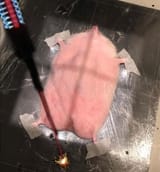 1677204837833231