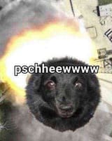 Gr7AJKrXMAExQVZ