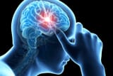 brain