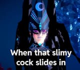 zmvdl6orp8f1