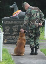 memorial day
