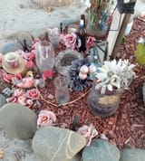 IMG_20250630_201749094