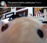 1752808043194264