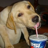 imagejhk0