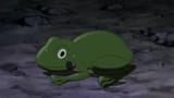 erukafrog
