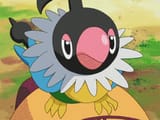 chatot-angry