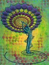 2704054-HSC00002-7