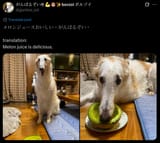 melonjuice