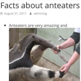 GFNqtKTWcAEsc6q