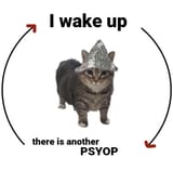 1751405619131429