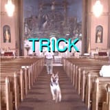 tumblr_nn0tsq6RPo1qkp2uto1_500