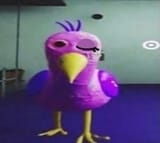 opila bird