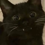 20240328_235838