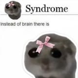 20240322_120736
