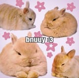 bnuyy