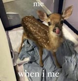 GXxOo0pWQAAKCE2