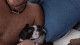 giphy (26)