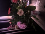 IMG_0719