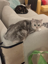 file