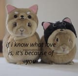 GI0RuMXW0AEHBUj