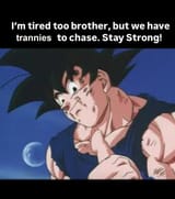 goku chaser