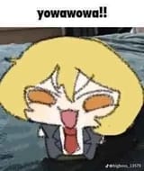 Don_yowawowa