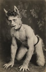 furry