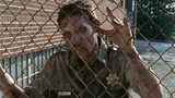 zombcop