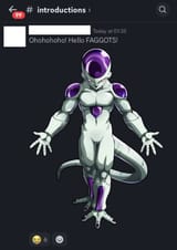 Frieza joins a Discord server