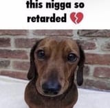 1722007191338782