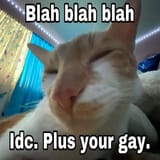 674c7bf6e76f7503633121b3e6aa05b7