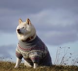 GKlcOthXgAABBbA