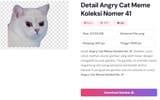 Detail Angry Cat Meme Koleksi Nomer 41