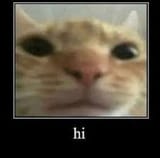 Thread 40582140 OP Image