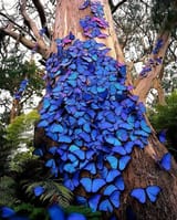 Blues_f38a3a_7943179