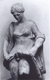 hermaphroditus