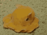 1742908806859287