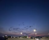 IMG_4995