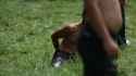 086_thumb.jpg
