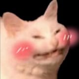 1654373590252